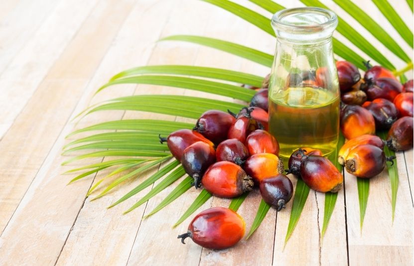 Giá dầu cọ Malaysia tăng mạnh nhờ Trung Quốc và Ấn Độ thúc đẩy nhu cầu