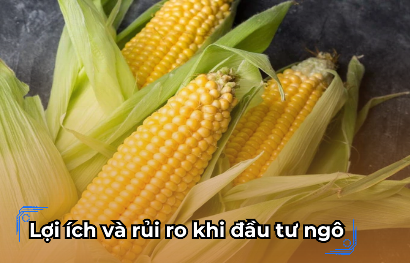 Lợi &iacute;ch v&agrave; rủi ro khi đầu tư ng&ocirc;