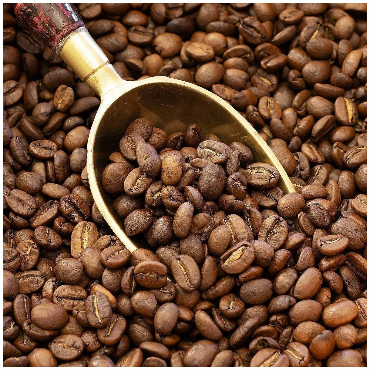 Gi&aacute; c&agrave; ph&ecirc; h&ocirc;m nay ng&agrave;y 05/08/2025 