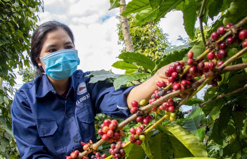 Gi&aacute; c&agrave; ph&ecirc; 14/4/2025