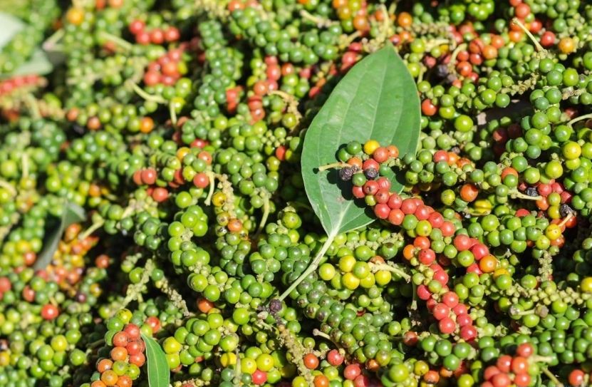 gi&aacute; ti&ecirc;u h&ocirc;m nay