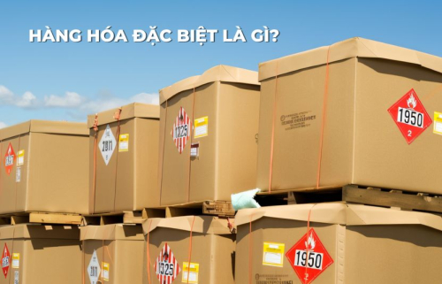 Tìm hiểu hàng hóa đặc biệt là gì và vai trò quan trọng trong nền kinh tế