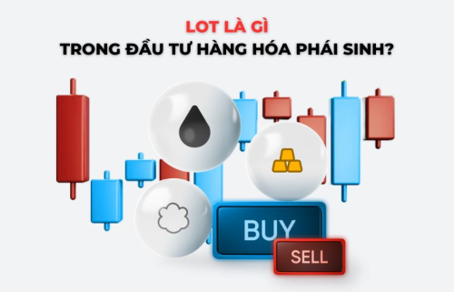 Lot là gì trong đầu tư hàng hóa phái sinh? 1 lot hàng hóa bằng bao nhiêu tấn?
