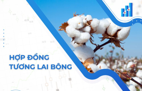 Chi tiết hợp đồng tương lai bông