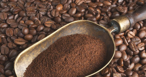 Thị Trường Cà Phê 15/08/2025: Giá Trong Nước Tăng Vọt, Brazil Linh Hoạt Ứng Phó Thuế Quan Mỹ