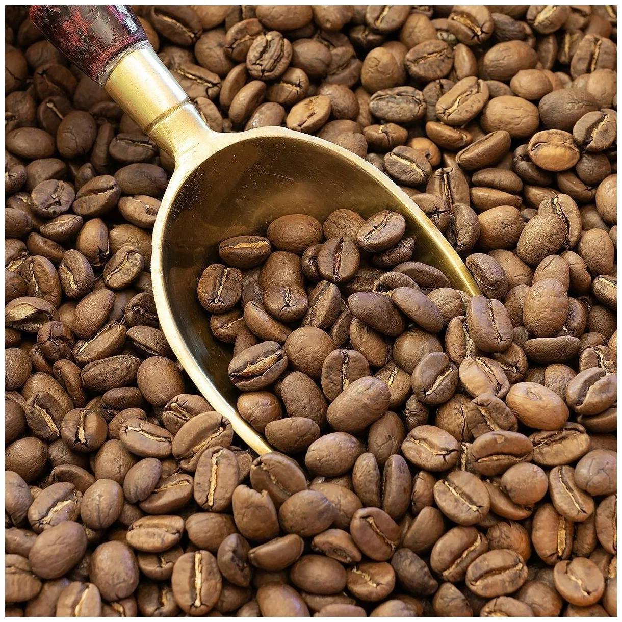 Thị trường cà phê 18/07: Nội địa giảm, quốc tế biến động